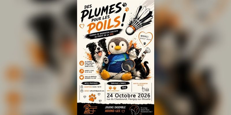 Bannière de l'article Tournoi caritatif ouvert à tous