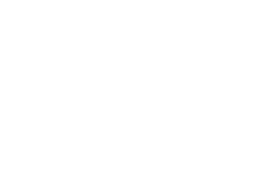 Logo du club de badminton de l'ASFlavigny